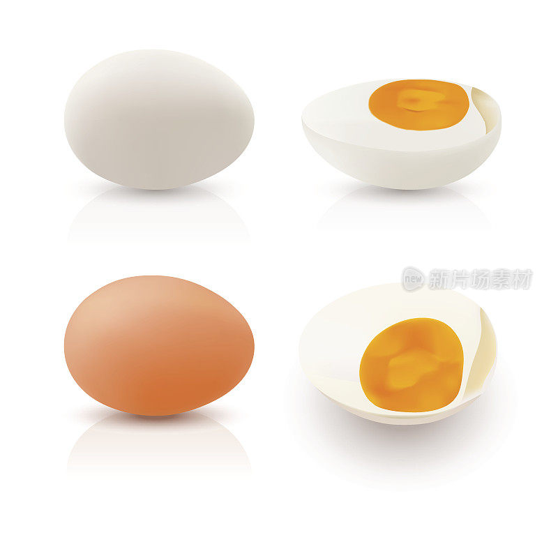 Realistic illustration egg white and egg yolks.